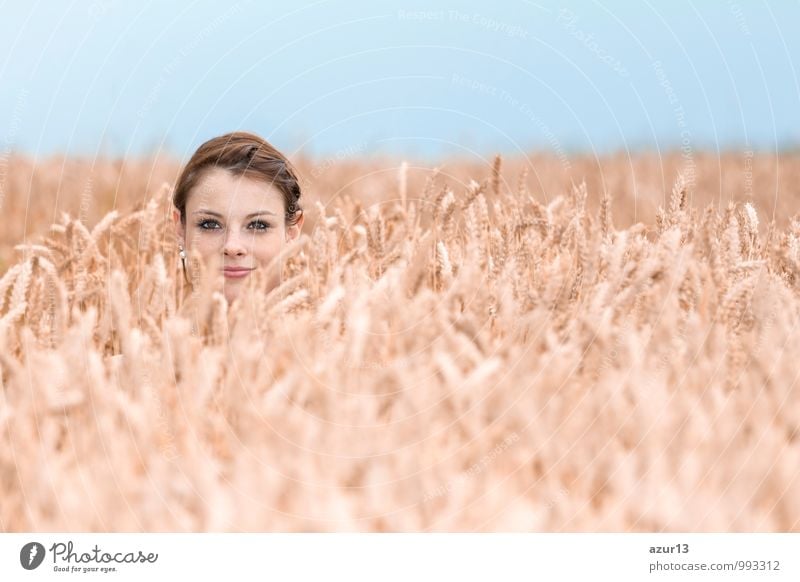 Funny young woman hides herself in cornfield. Beautiful girl playing hide and seek in nature. Special perspective. Copy space Summer Human being Woman Adults