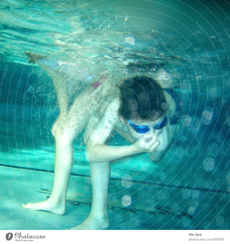 blubber Swimming pool Diving goggles Swimming goggles Dive Air bubble Tile Legs Arm