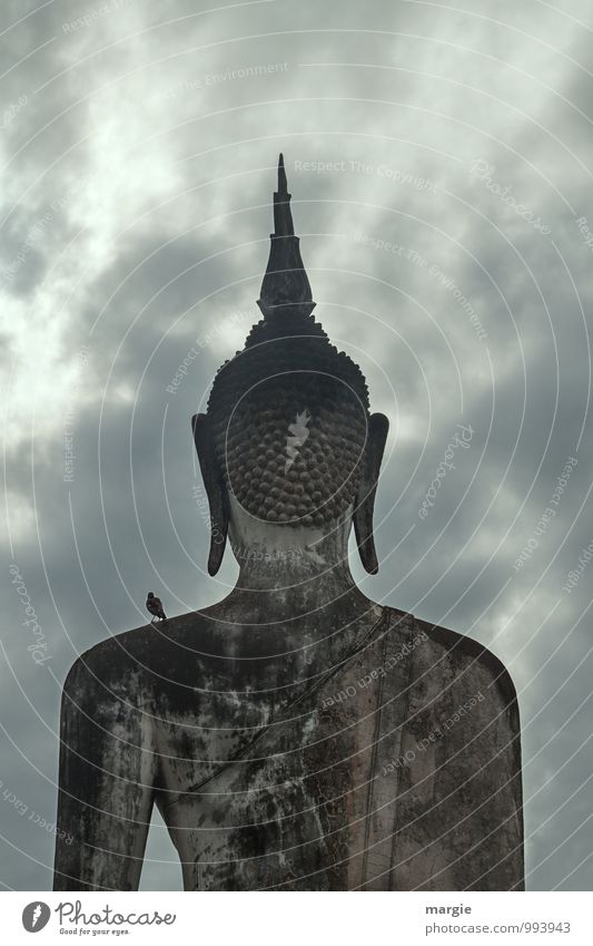 The large stone - Statue of a Buddha from the back with a bird on the shoulder Art Work of art Sculpture Sky Clouds Storm clouds Bad weather Rain