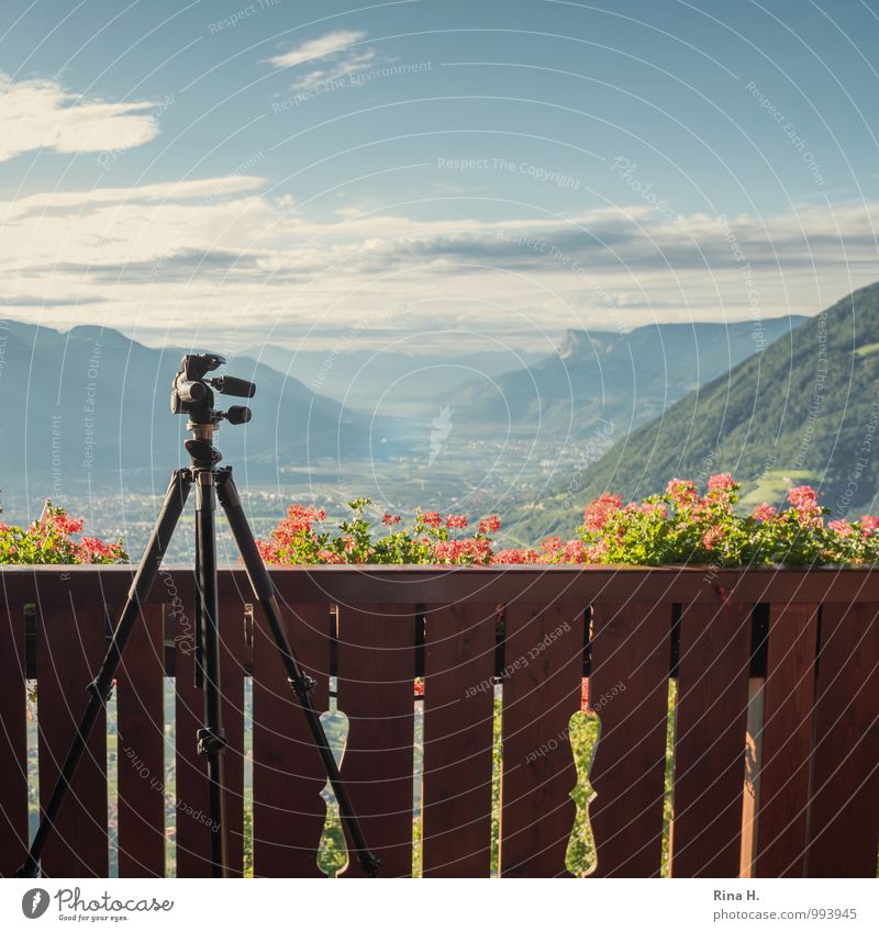 View with tripod Environment Nature Plant Horizon Summer Beautiful weather Flower Mountain Balcony Bright Vacation & Travel Contentment Meran Handrail Tripod