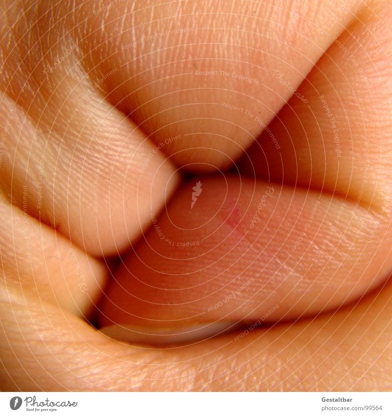 snail Hand Fingers Forefinger Thumb Fingerprint Nail Fingernail Joint Skin color Fist Dermatologist Anatomy Formulated Macro (Extreme close-up) Close-up