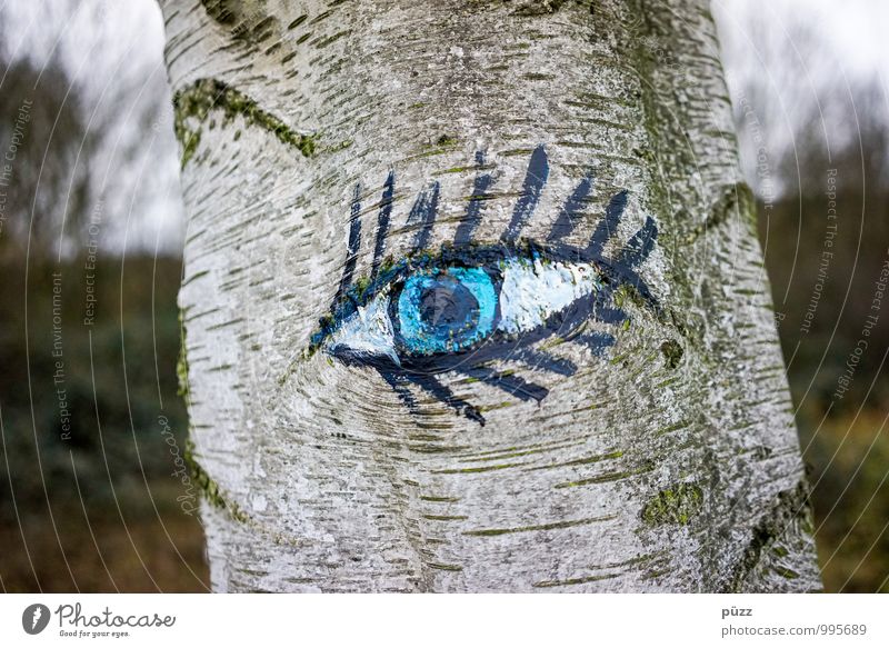 Woodeye be watchful Beautiful Mascara Eyes Environment Nature Tree Sign Looking Curiosity Blue Gray Black White Esthetic Pupil Eyelash Beauty Photography