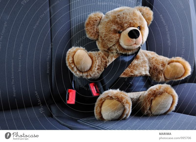 Teddy belted in the car Child Street Car Toys Teddy bear Cuddly toy Driving Sit Brown Black Safety Protection buckled on with attached seatbelts Carriage