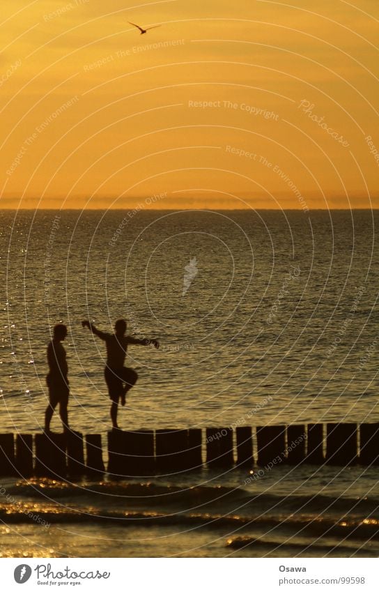 summer Summer Sunset Twilight Ocean Man Yoga Gymnastics 2 Waves Beach Joy Baltic Sea Dance Silhouette Pole Water