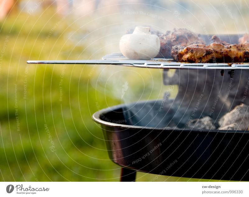 barbecue season Food Meat Mushroom Nutrition Lunch Dinner Picnic Lifestyle Luxury Joy Leisure and hobbies Vacation & Travel Adventure Far-off places Freedom