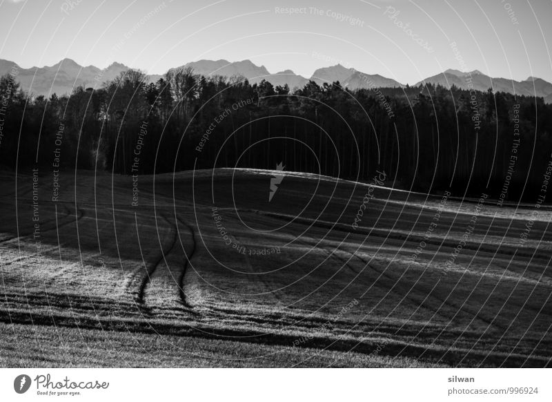 Light & Tractor Tracks Landscape Sky Sunlight Autumn Winter Beautiful weather Field Mountain Threat Creepy Cold Dry Gray Black White Apocalyptic sentiment