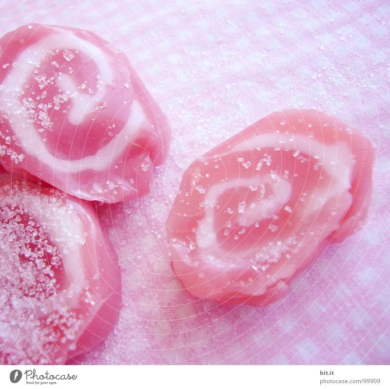 LAUGH UP Sugar Candy Pink Snail Round Spiral Sweet Summer Toothache Dentist Bacterium Stick Kitchen Supplies Delicious Checkered Food Gourmet Unhealthy Calorie