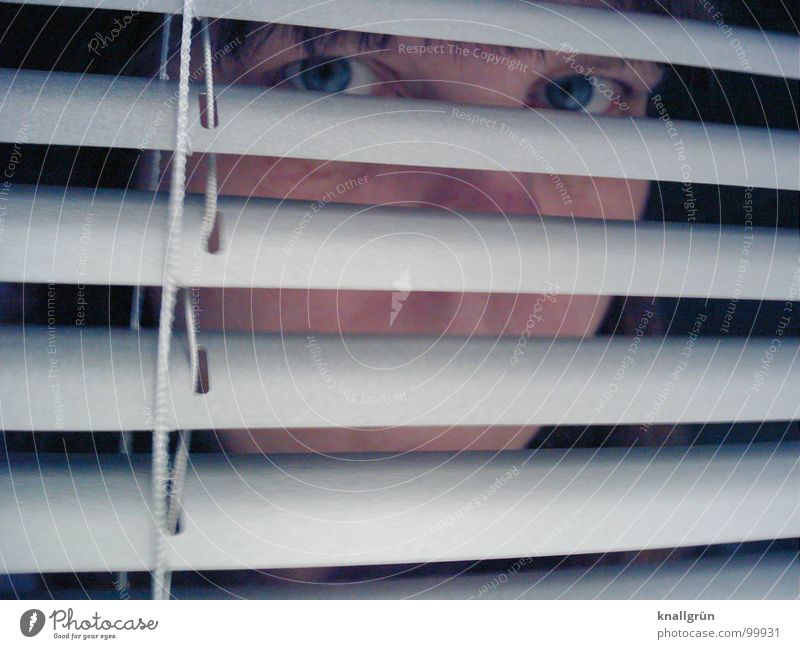 eye view Venetian blinds Gray Stripe Concealed Aluminium Screening Vista Woman Concentrate Face Hide Eyes Looking Head Disk Observe